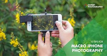 Image result for Macro Photography iPhone 15 Pro Max