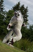 Image result for Good Werewolves