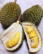 durians 的图像结果
