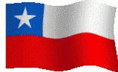 Image result for Chile Flag Meme