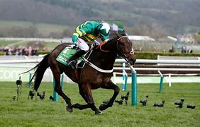 Image result for Noel Beattie Race Horse From Northern Ireland