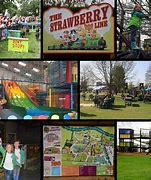 Image result for Avon Valley Country Park Plane Ride