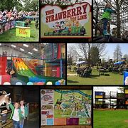 Image result for Avon Valley Country Park Christmas Lights