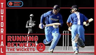Image result for Hurdle for Cricket Running