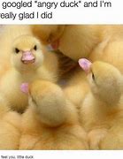 Image result for Smiling Duck Meme