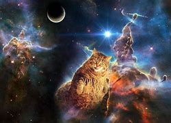 Image result for Space Cat Poster