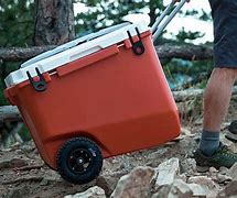 Image result for Bear-Proof Cooler