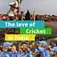 Image result for Cricket Without Wings