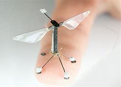 Image result for RoboBee