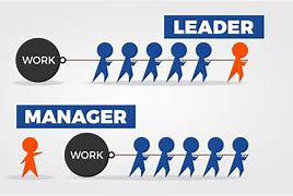 Image result for Team Lead vs Manager