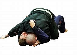 Image result for Jiu Jitsu Mount Position