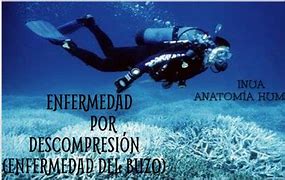 Image result for descomimiento