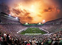 Image result for Michigan Stadium Print