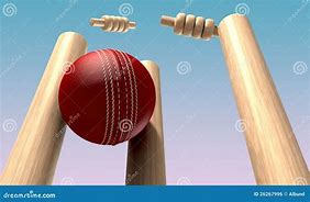 Image result for Wicket Breaking Ball in Cricket