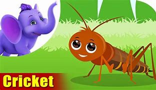 Image result for Happy Cricket Insect