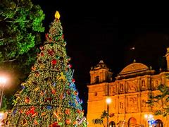 Image result for Luces Navidad Mexico