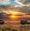 Image result for Safari Sunset Background