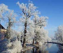 Image result for Dutch Winter Landscape