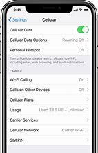 Image result for iPhone Settings Cellular Data Options