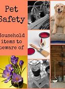 Image result for Dog Safety, Household Products