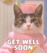 Image result for Funny Get Well Pics