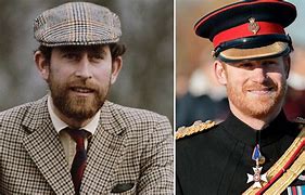 Image result for Prince Harry and King Charles Beard
