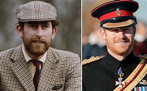 Image result for Charles III with Beard