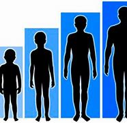 Image result for Body Growth and Development