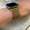 Image result for Apple Watch Metallic Band