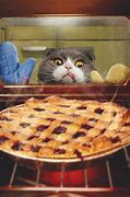 Image result for Pie Cat Meme