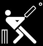 Image result for Indian Pic Cricket Funny