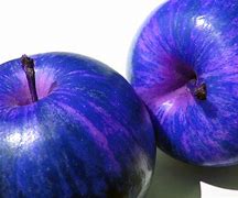Image result for Blue Apple Fruit