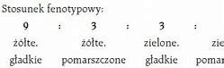 Image result for co_to_znaczy_związki_heterocykliczne