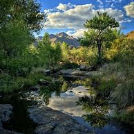 Image result for Nature Photography with iPhone