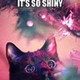 Image result for Side Eye Cat Meme