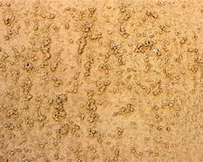 Image result for Bumpy Metal Texture