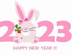 Image result for Happy New Year Funny
