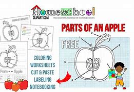 Image result for Apple Parts Coloring Page
