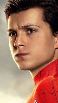 Image result for Spider-Man 4K Blu-ray