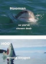 Image result for Shark Head Boom Meme