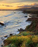 Image result for Places to Visit in Cambria CA
