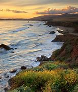 Image result for Exotic Nature Cambria CA