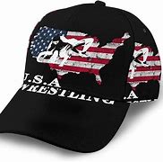 Image result for MN USA Wrestling Hat