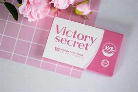 Image result for Victoria Secret Pencil Case