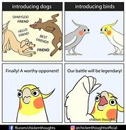 Image result for Chicken Thoughts Meme