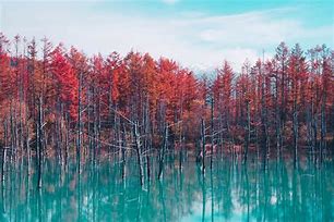 Image result for Japan Beautiful Nature Places