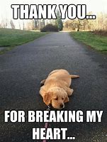 Image result for Memes About Heartbreak
