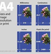 Image result for 4R Size in A4