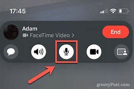 Image result for Turn Off Mic From FaceTime