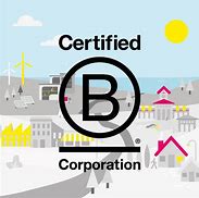 Image result for B Corp Examples